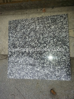 藍冰花荒料產(chǎn)品介紹 - 湖南天華石材優(yōu)質(zhì)花崗巖