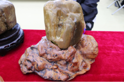 石韻煤魂，魅力海倫——首屆奇石文化旅游節盛大開幕，焦炭產業與文化盛宴交相輝映
